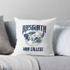 throwpillowsmall1000x bgf8f8f8 c020010001000 12 - Fourth Wing Store